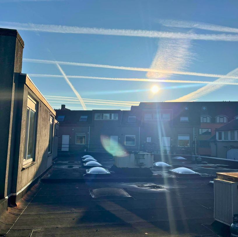 Voorbeelden van daken in regio Oudenbosch