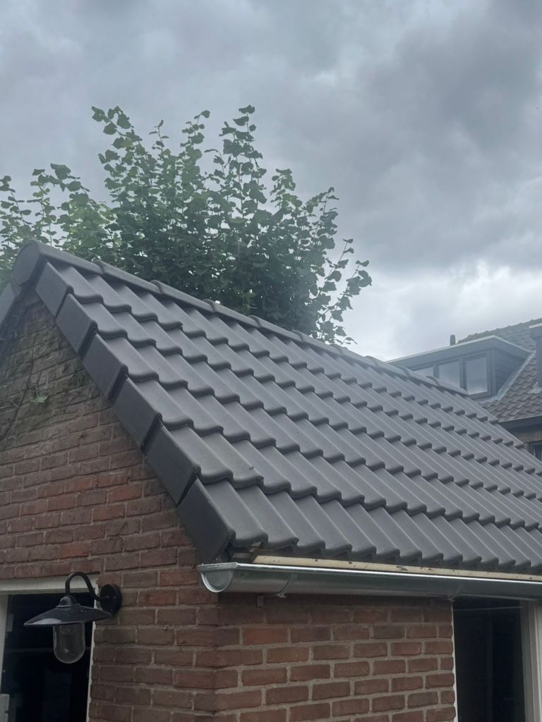 Dak vervangen vlakbij Dinteloord – resultaat na renovatie